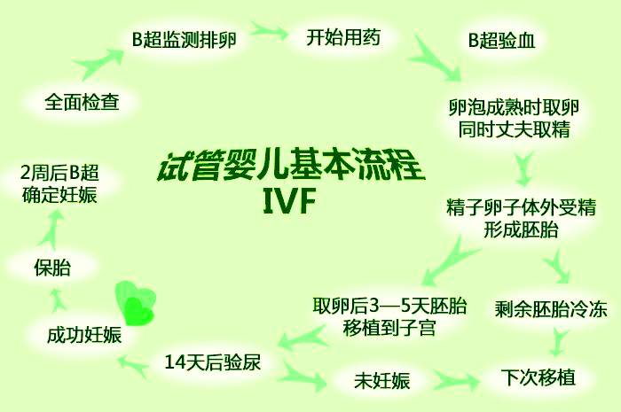 香港试管婴儿流程